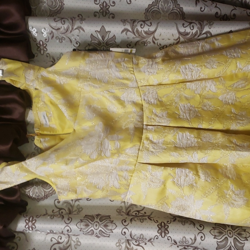 Dress size 14